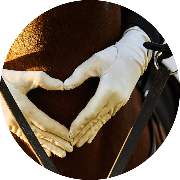 derby community einstiegsbild